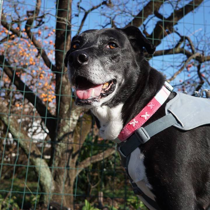 Af503392 e4c5 4487 a118 d9d844bb98bb 1762131711227