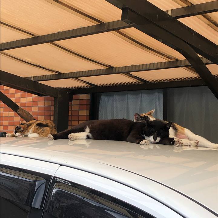 Af508148 77e7 4709 bf54 3cde21a44e8c 1561727664580