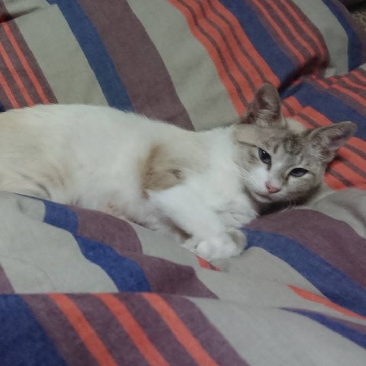 Af50c856 f669 4d03 8d2e 5bbbac3eac09 1527262367435