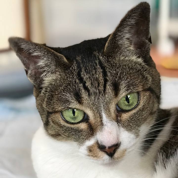 Af512c43 eaa2 4619 a6c6 089ebf6c71aa 1526529458250