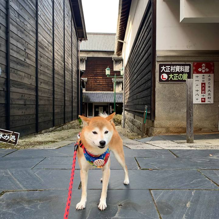 Af515587 a5dd 4af6 b132 613d22670b03 1637230915616