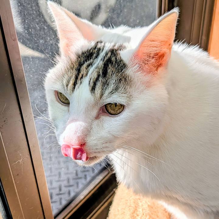 Af51c050 b29e 45fa bab7 8fa948f23716 1767530159957