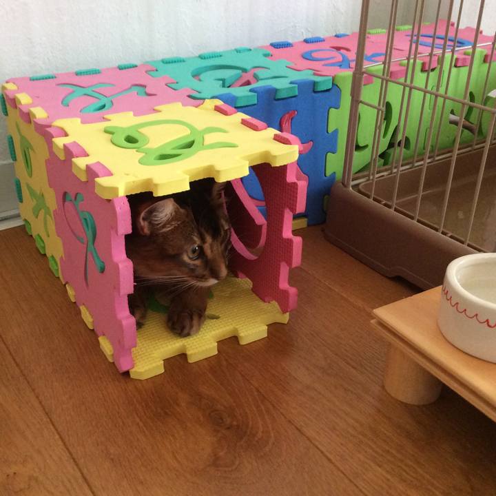 Af51c3dc 3643 4411 9d50 ec3f1716c1d1 1567053060999