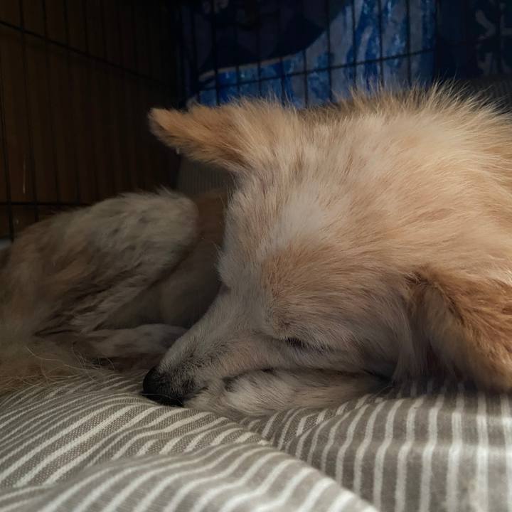 Af51d312 c166 4896 9ee6 711a22284133 1647399911060