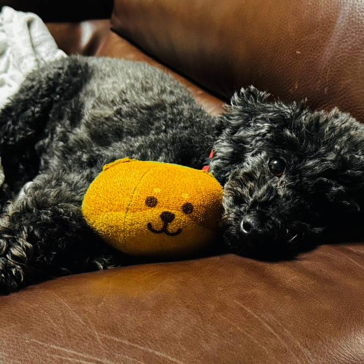 Af51e0b9 8be6 4071 924e 4fc3f49a448f 1737293016638