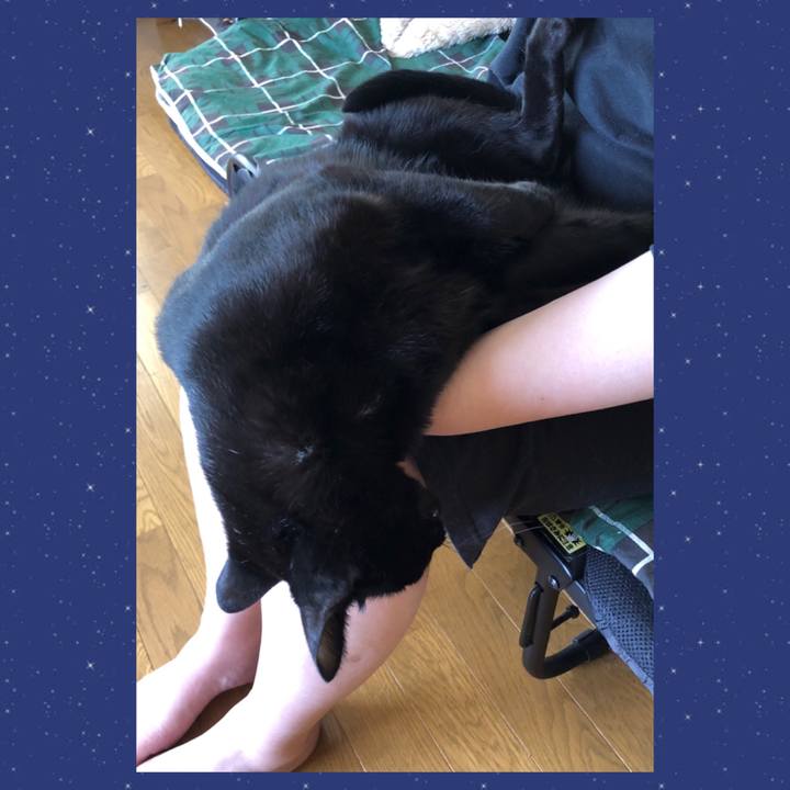 Af520792 ccf2 4ffd a06b ea5bc745efd0 1694830965515