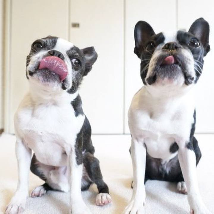 Af523085 a4ce 4413 be13 1584006a5ebb 1523944879803