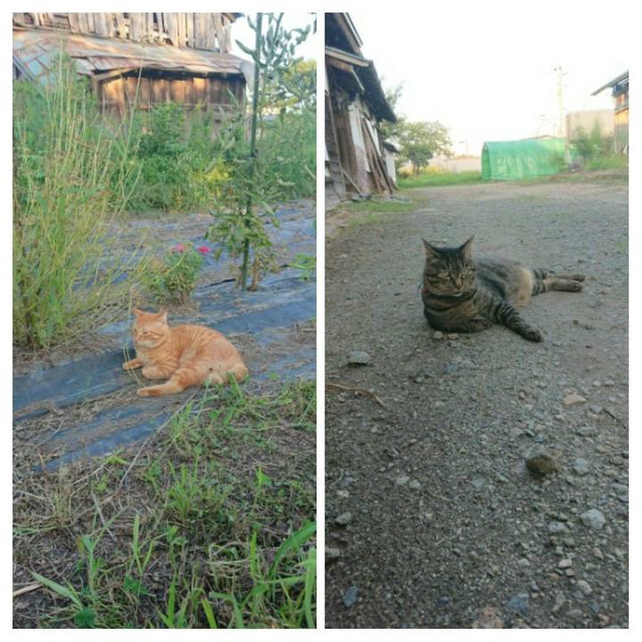 Af52394a b0d0 4776 83b0 6cd61ad78182 1661158335362