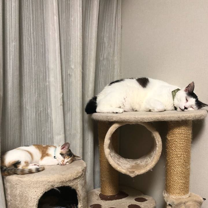 Af529fc0 af41 4dc3 b735 3f224d161a6f 1563631598158