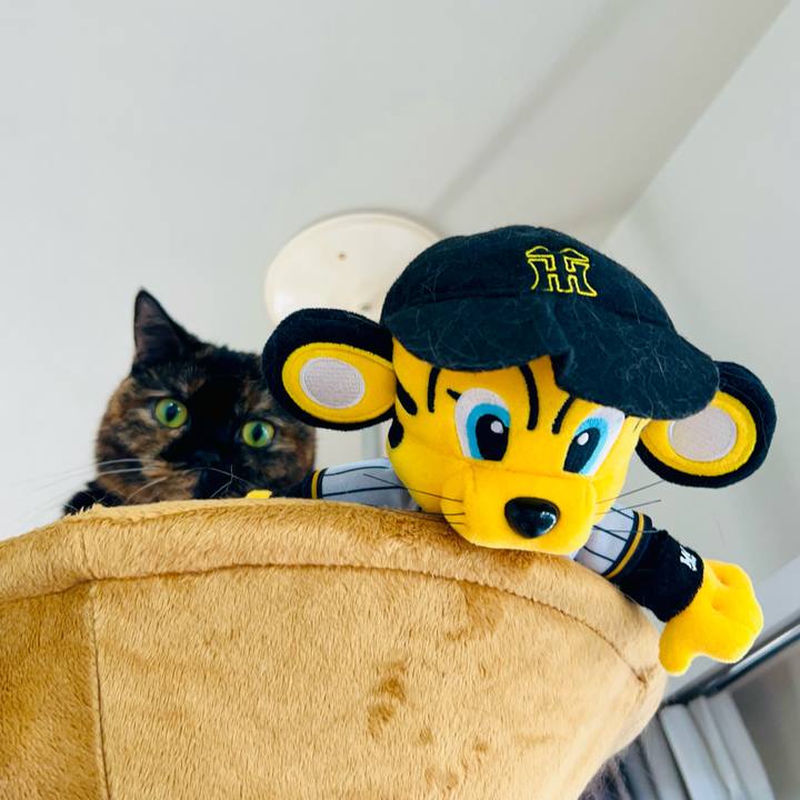 Af52f0d0 dfd6 474f 894a bb0a30652c37 1763872855051