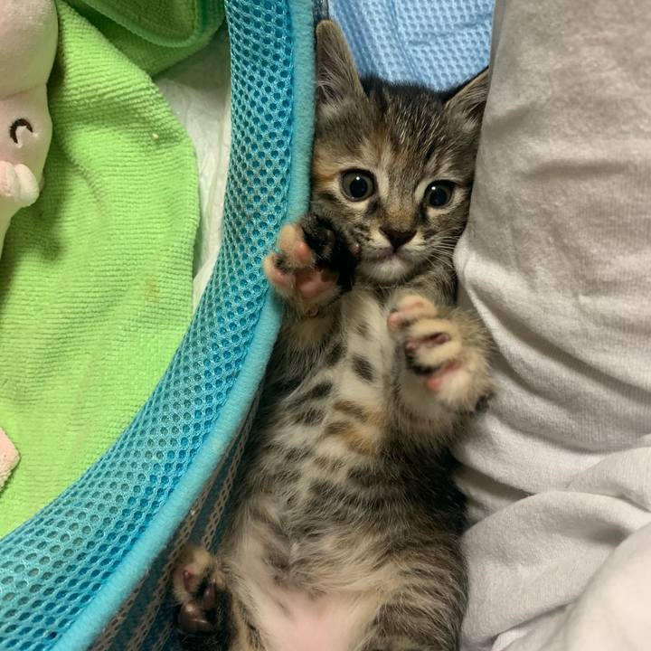 Af530000 6fba 4bf5 a417 25ded18547e5 1589466759830