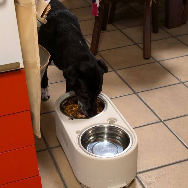 Af533d29 2afe 41c9 a811 38ec4eddac49 1723460601816