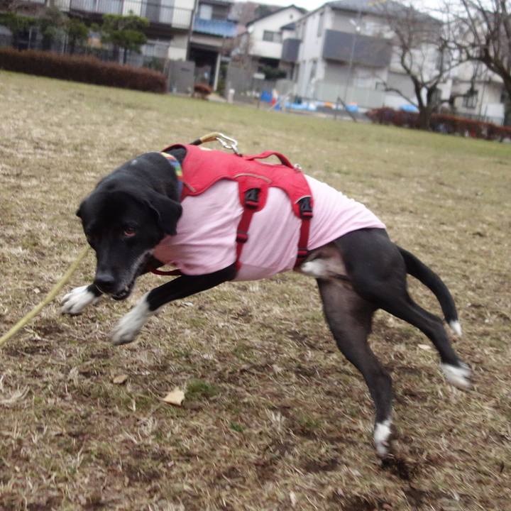 Af5342d7 2474 4a67 bbee 7616df634429 1676246711580