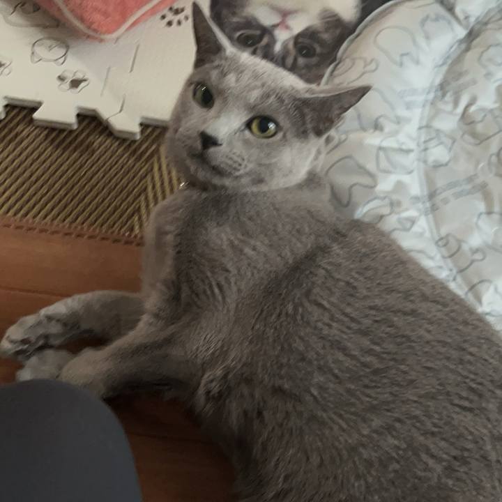 Af535d91 17af 4c0d b141 a278bc2d1665 1725061122045