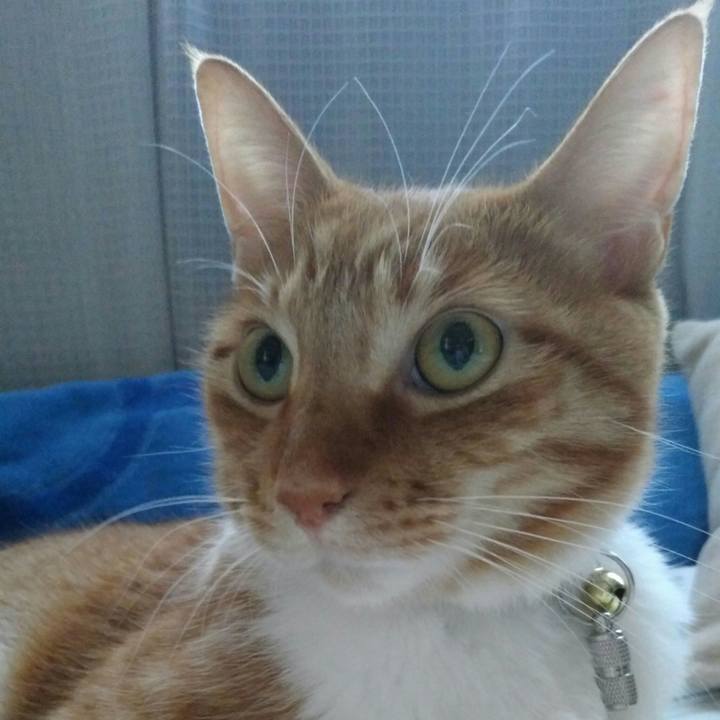 Af538603 9663 4317 b2dd 207da387ca2c 1563184012582