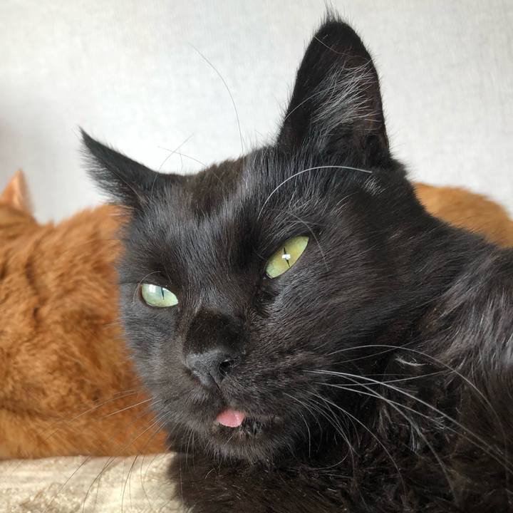 Af53866f d14d 4fa8 8677 504fe992e505 1593306459982