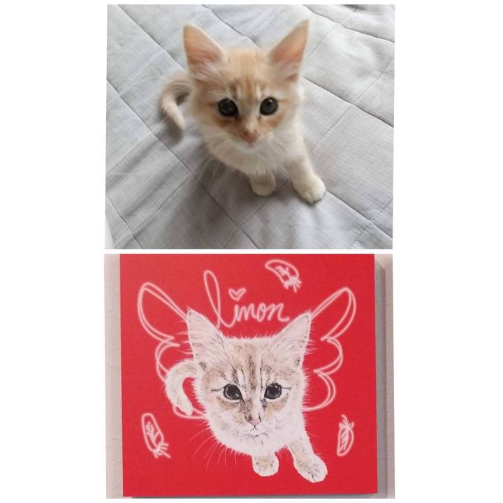 Af53878c e93d 4c7a 9ede 139d08acb771 1607291814565