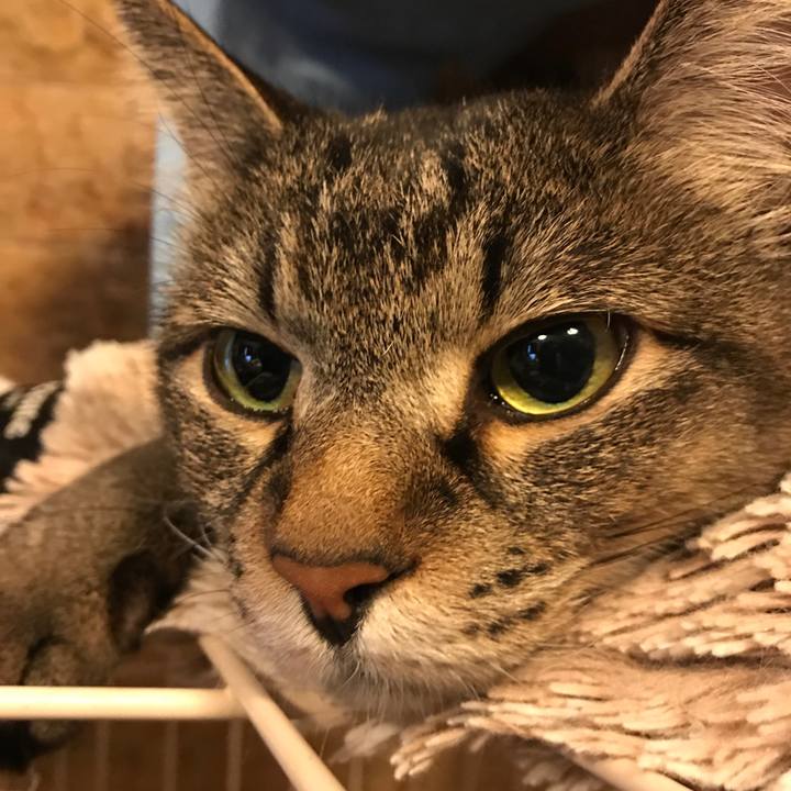 Af539247 e081 49cd 90ee d7cd51af5e7a 1557444774572