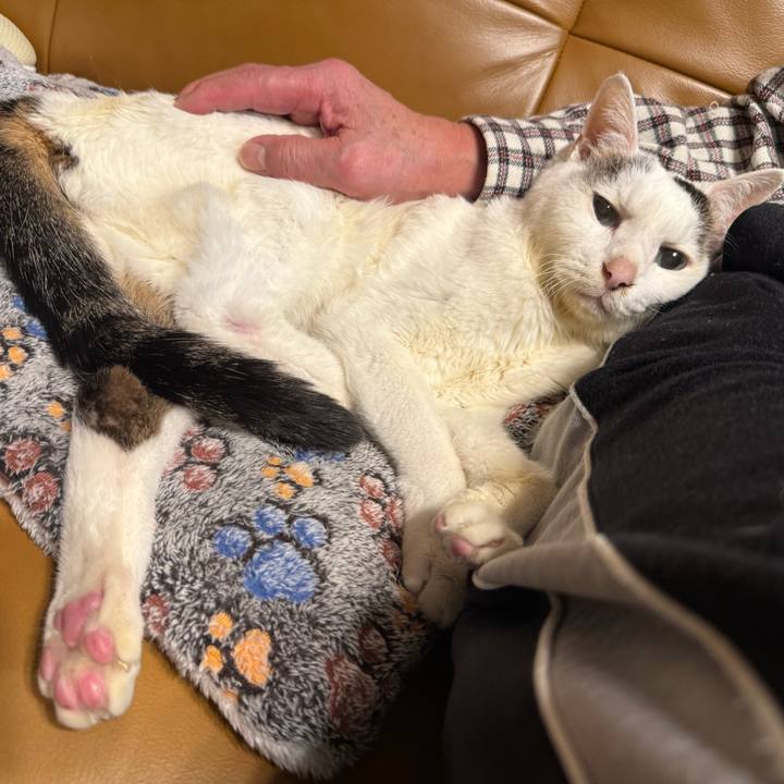 Af53a9a8 15a0 4852 bcf3 04046d3de56c 1764503287626