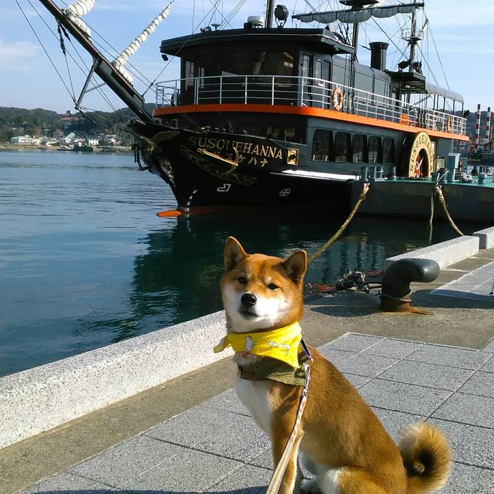 Af542962 331d 42d5 9ded 0b80cc981a75 1514089191605