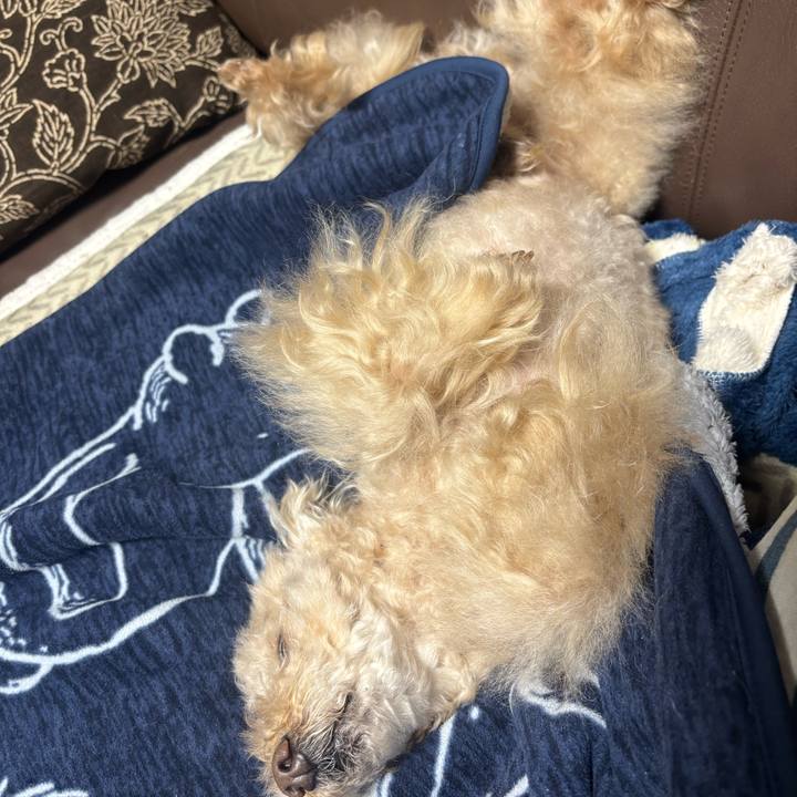 Af542d4c 1d97 4575 af45 3afeb5b8e5a5 1772375186301