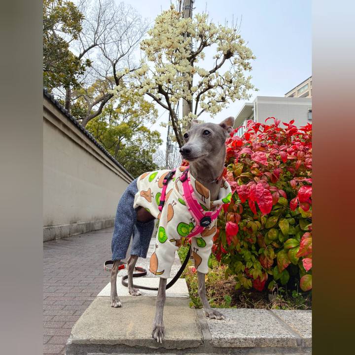 Af542e95 6f0f 44c3 8c15 c064bf23409a 1774607212057