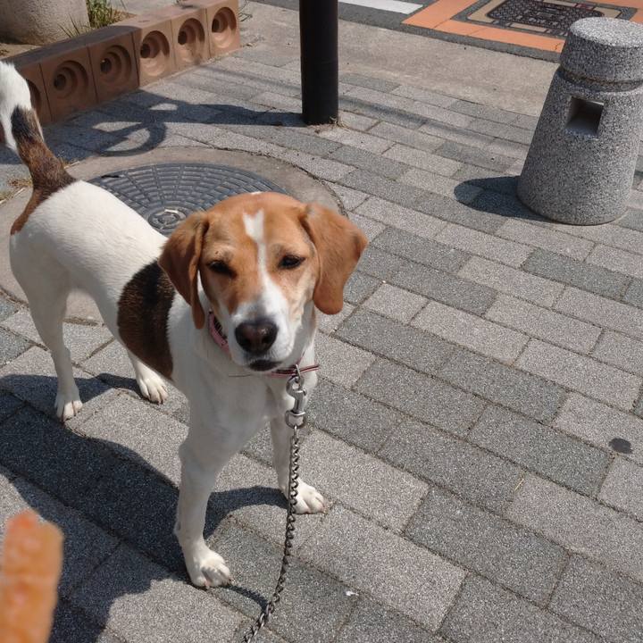 Af547424 f635 4520 8426 d10eb6d202bb 1589260710159