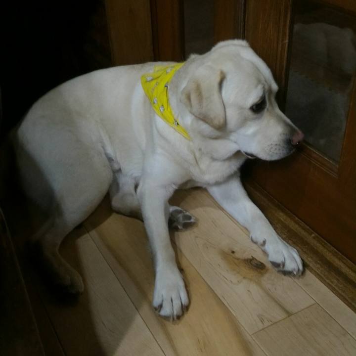 Af5481e5 65e1 4ec5 9dde 0458993fc927 1516624513437