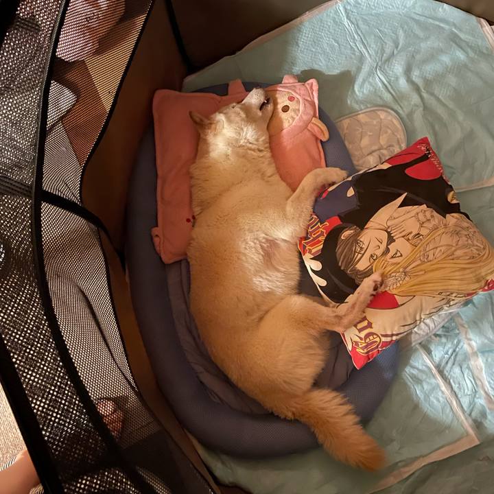 Af548345 9b11 44f4 9adb 90194c185d2e 1660324942441