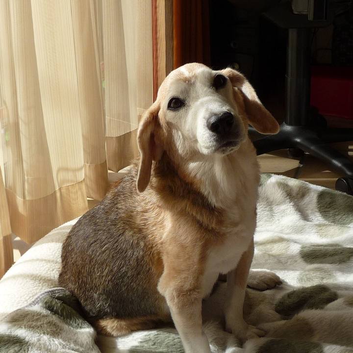 Af548b20 fcae 41c5 a1de 1811c2ceed48 1705194038067