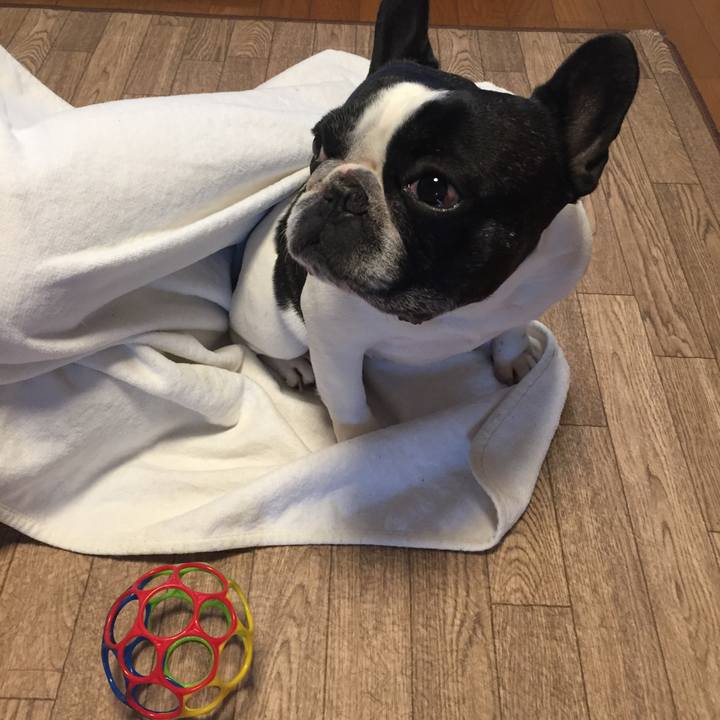 Af54d6f7 b54d 4df7 a3f3 f63d59b4d6bb 1550492203590