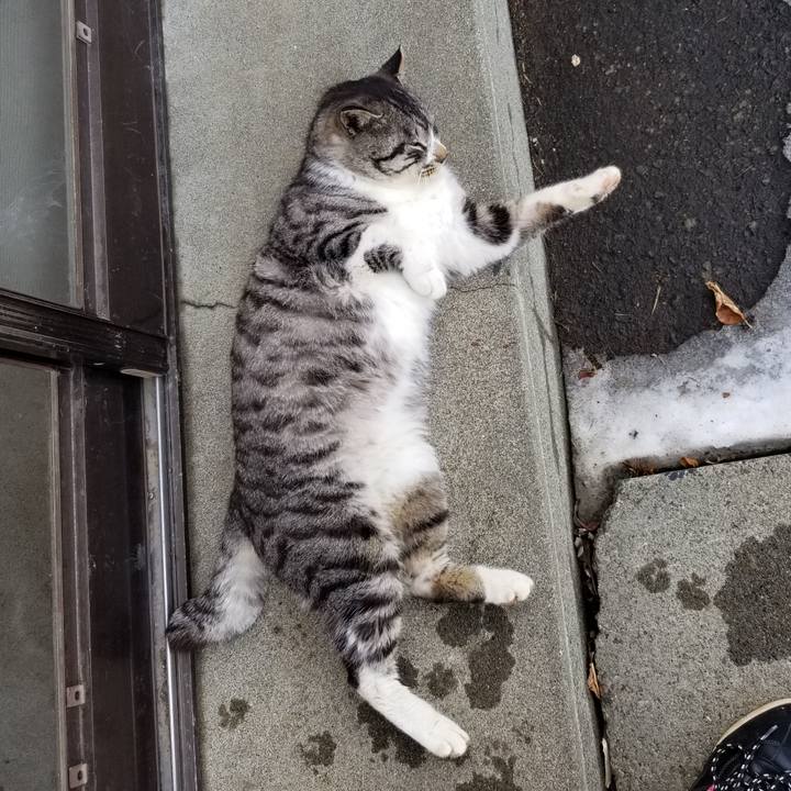 Af54ea2b 2d0b 4f73 b4b6 6729e29234bf 1613831033848