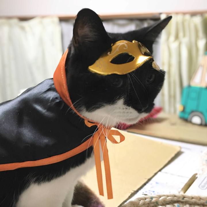 Af552d87 68c6 4e86 8acc 301d77534253 1572521176315