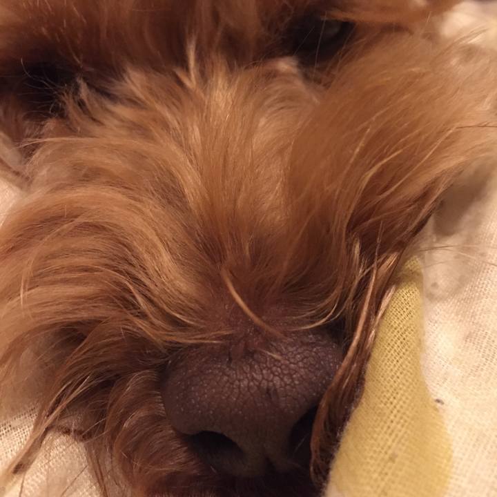 Af554ee3 d2d0 4762 bf5e ddcc14a39a85 1523624382400