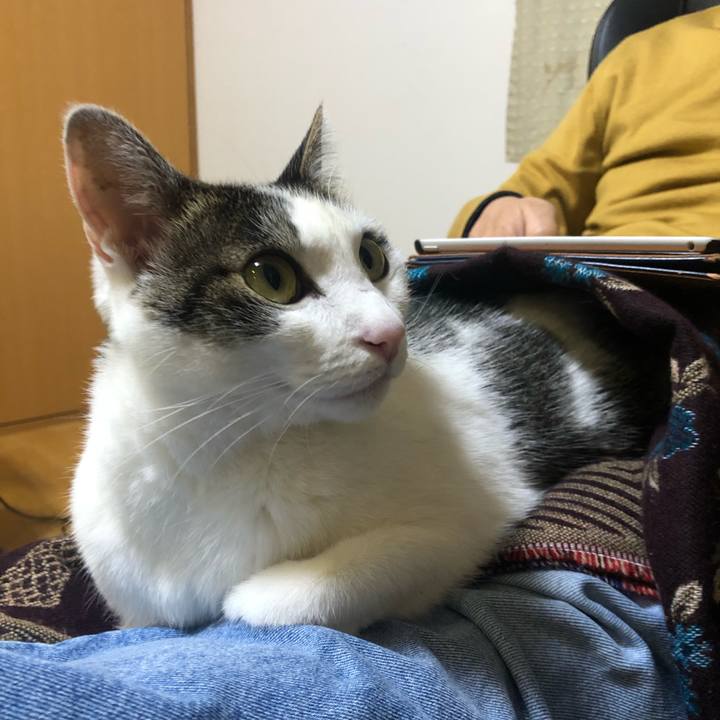 Af556da4 2e7c 4cc8 be41 cfba1352490f 1708518466128