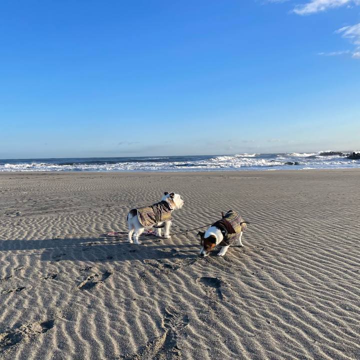 Af55c82d 84fa 49c8 90dc eac3db4ed185 1739578551644