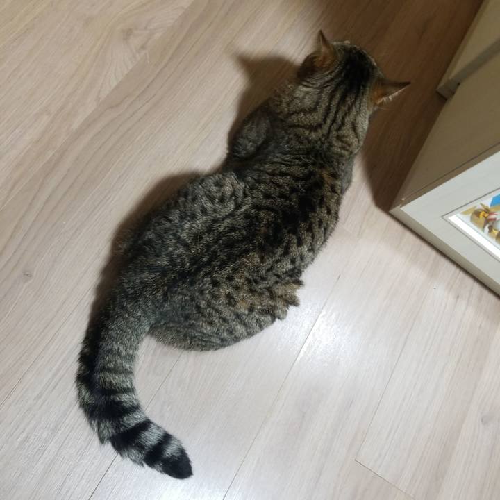 Af564ec2 495a 4d7e b371 3556f6264322 1594761887490