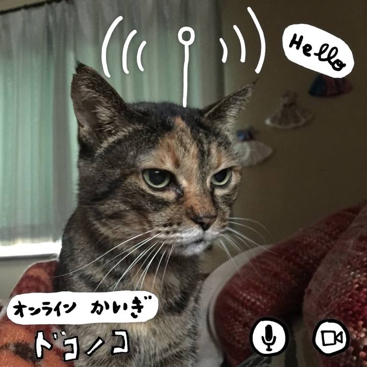 Af56703d 0228 48b8 97ba e71d0cc8c066 1590719131231