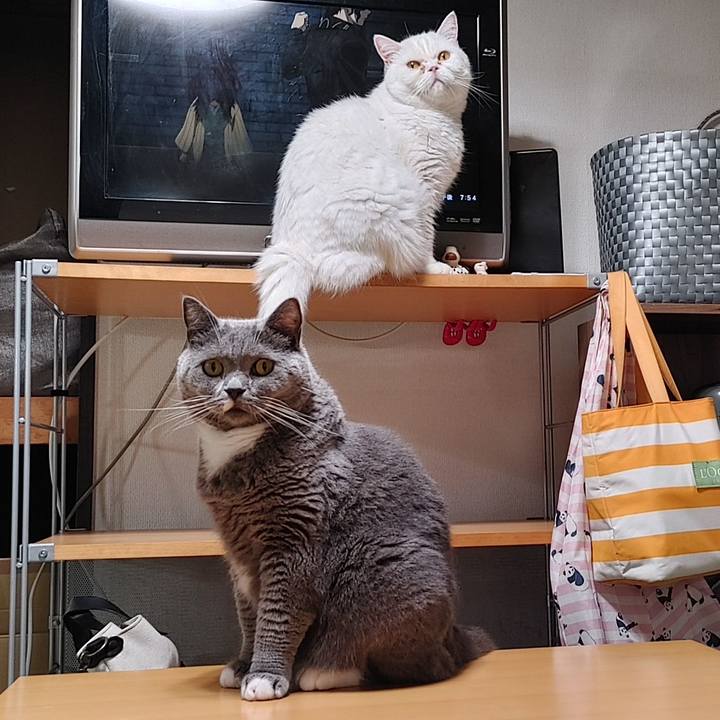 Af56891d a5a1 4d73 9bef bb4d89aba734 1631444201578