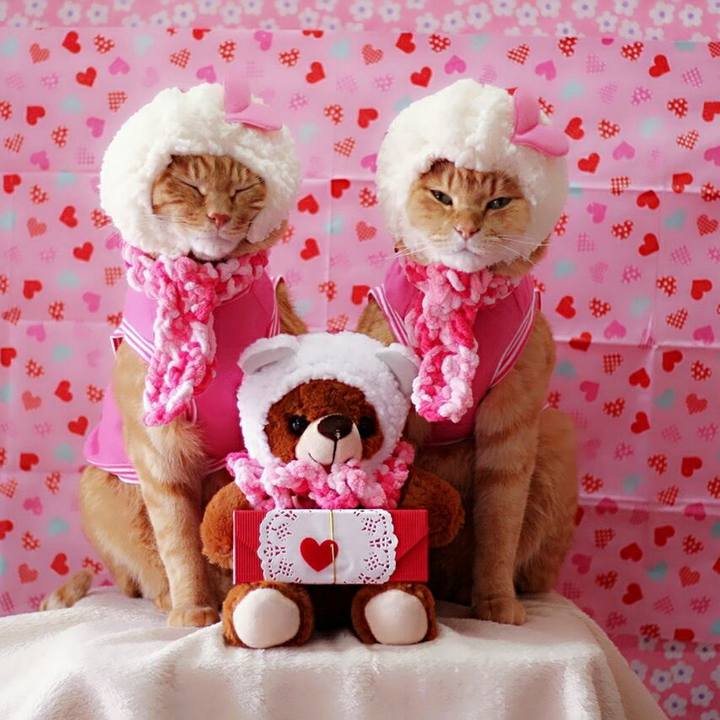 Af5699f2 418f 4a13 b317 6da86f188060 1518613897188