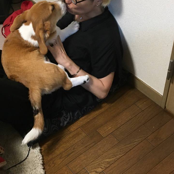 Af569d2f 4501 4797 a6d5 fda888c5a695 1594062208569