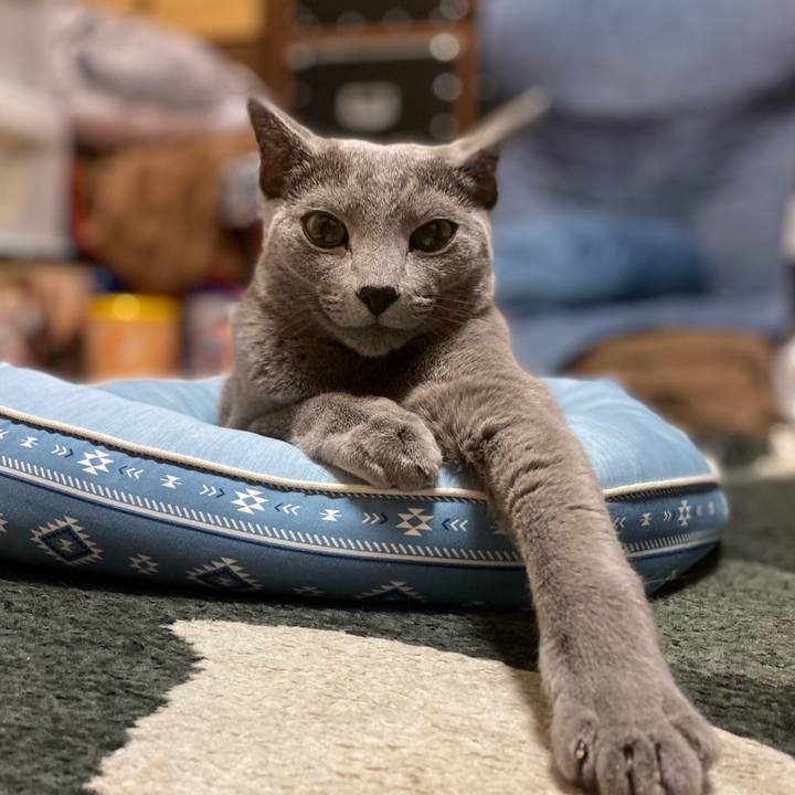 Af56bd1d d0fa 403f b1fa df3cdc833801 1633617450962