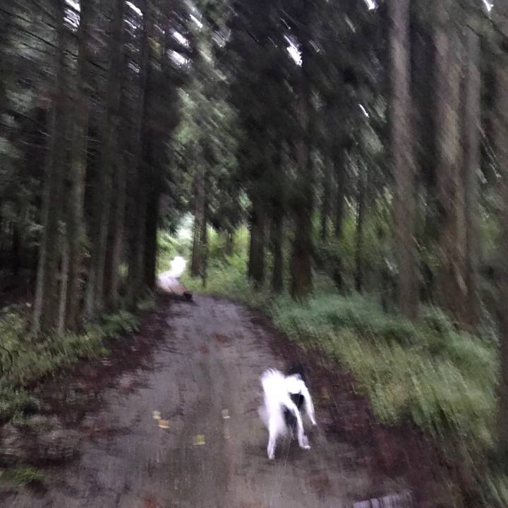 Af56bf6f f1db 40fb a862 c977a3320d65 1508389644197