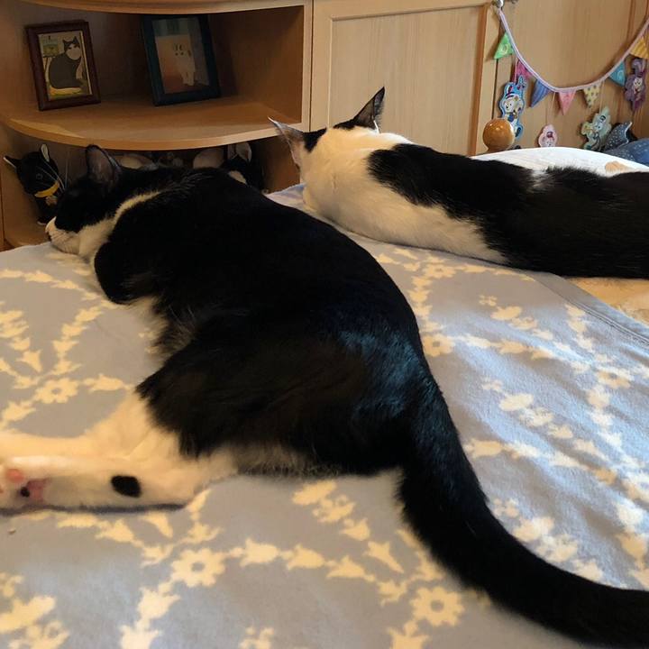 Af56c782 f63f 4243 8e54 076e0cdfbac1 1529387033466