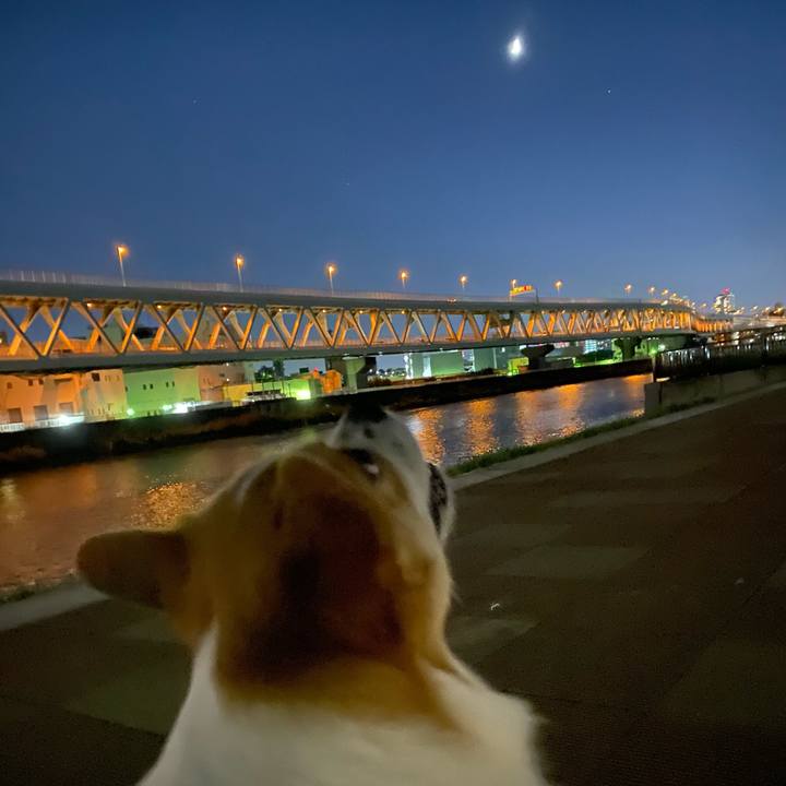 Af56cd11 fe18 4ca0 94b4 84fa1828c25f 1664619060713