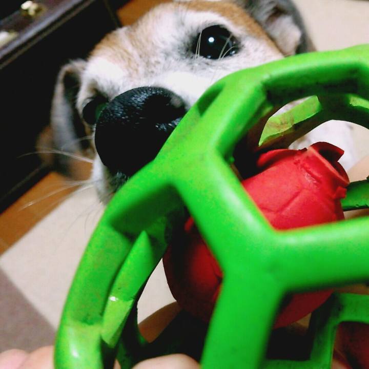 Af56eb81 f7c1 42b6 9d6f 8d91147534ac 1507819082380