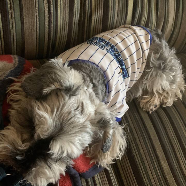 Af56efe5 a307 4f95 be85 9bd48fcb69b1 1651556191686