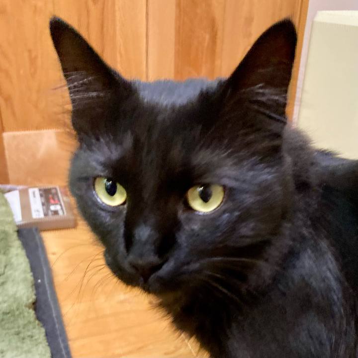 Af56f67d 3b9f 40be b531 c71bd4f97852 1748772180451