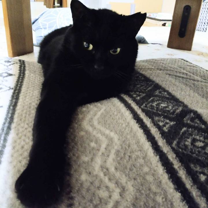 Af56f8d7 cd8b 42a6 9bf7 7519e607f440 1621420256615