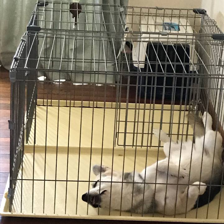 Af570e22 25b5 4ac0 81b9 457f38592b7c 1532486747145